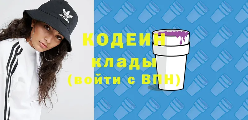 купить закладку  Верхняя Пышма  Кодеин Purple Drank 